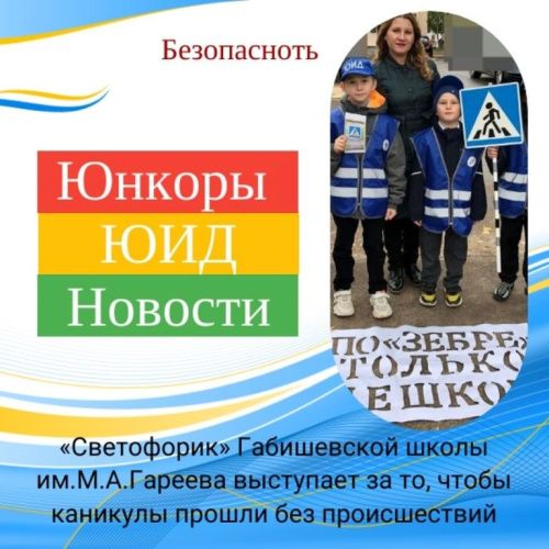 «Светофорик» выступает за то, чтобы каникулы прошли без происшествий