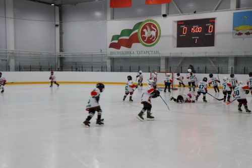 В Лаишево стартовал турнир по хоккею «Ястреб Cup»