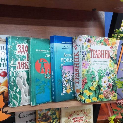 В Лаишевской библиотеке для читателей золотого возраста подготовили книжную выставку