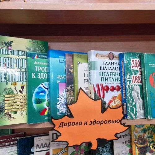 В Лаишевской библиотеке для читателей золотого возраста подготовили книжную выставку