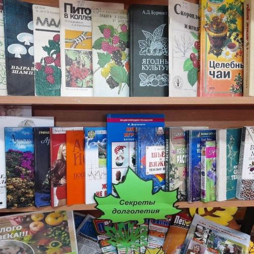 В Лаишевской библиотеке для читателей золотого возраста подготовили книжную выставку