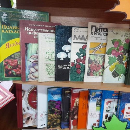 В Лаишевской библиотеке для читателей золотого возраста подготовили книжную выставку