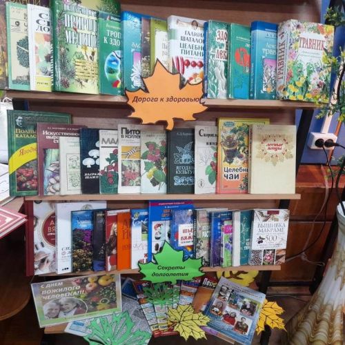 В Лаишевской библиотеке для читателей золотого возраста подготовили книжную выставку