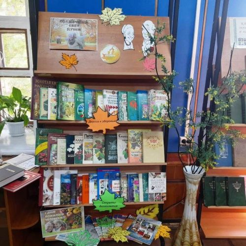 В Лаишевской библиотеке для читателей золотого возраста подготовили книжную выставку