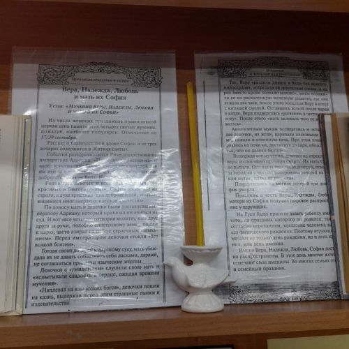 Новая книжная выставка оформлена в Лаишевской библиотеке