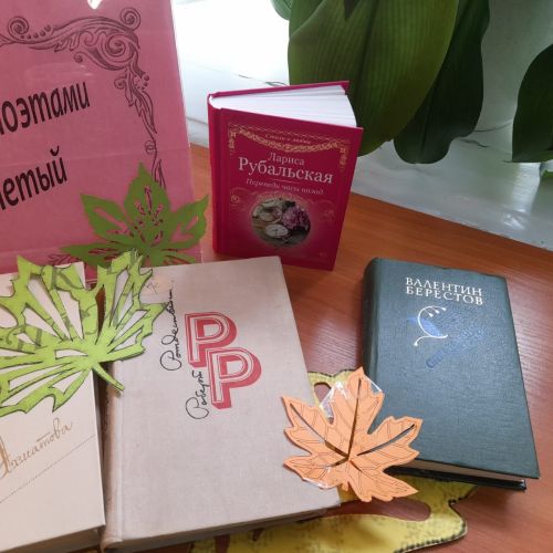В Лаишевской Центральной библиотеке представлена книжная выставка «Учитель поэтами воспетый».