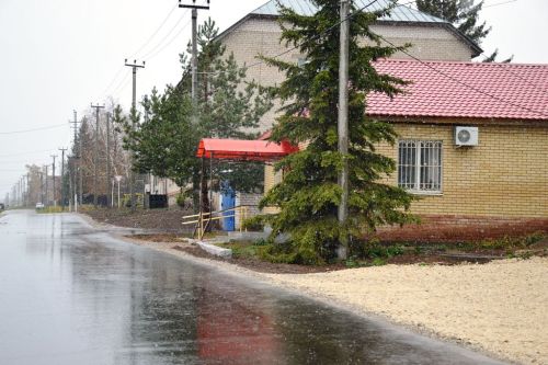В Лаишевском районе 14 ноября пройдет небольшой дождь