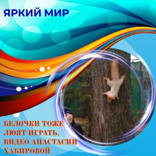 Белочки тоже любят поиграть