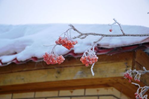 Утро светит снежным светом на Лаишевской земле