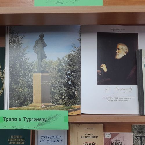 В Лаишевской библиотеке оформлена выставка-портрет «Певец русской души и природы»