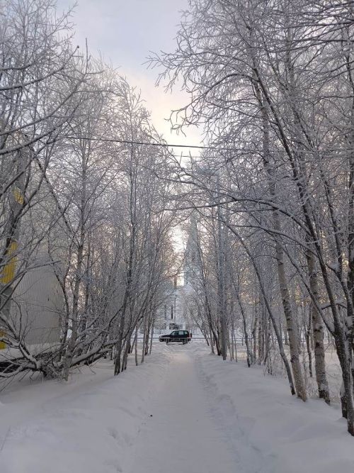 Город в декабрьской утренней неге, постепенно просыпается природа