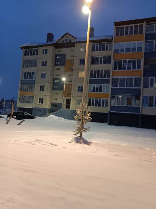 Город в декабрьской утренней неге, постепенно просыпается природа