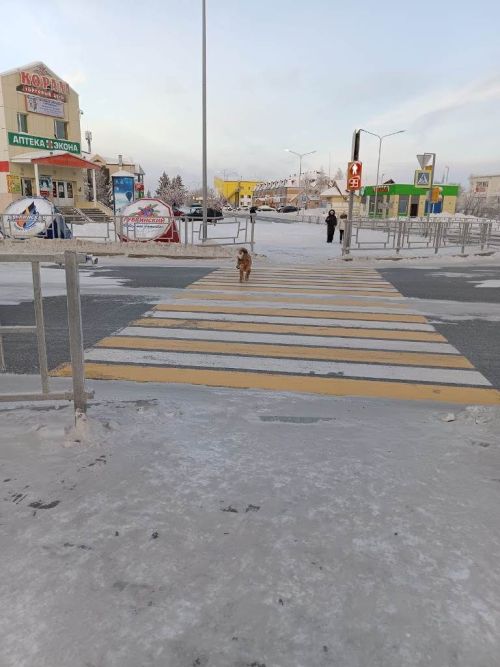 Город в декабрьской утренней неге, постепенно просыпается природа