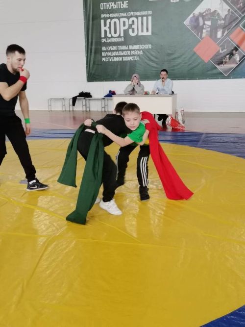 В Усадах прошли лично — командные соревнования по корэш на первенство Лаишевского района Республики Татарстан