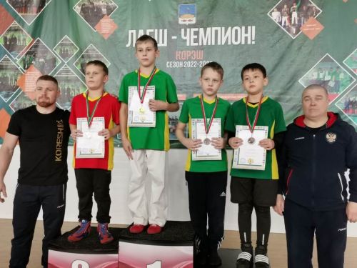 В Усадах прошли лично — командные соревнования по корэш на первенство Лаишевского района Республики Татарстан