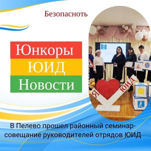 В Пелево прошел мастер-класс для руководителей отрядов ЮИД