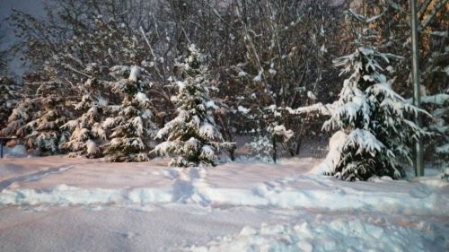 «Предновогодняя сказка» — так назвал серию фотографий Андрей Кодылев