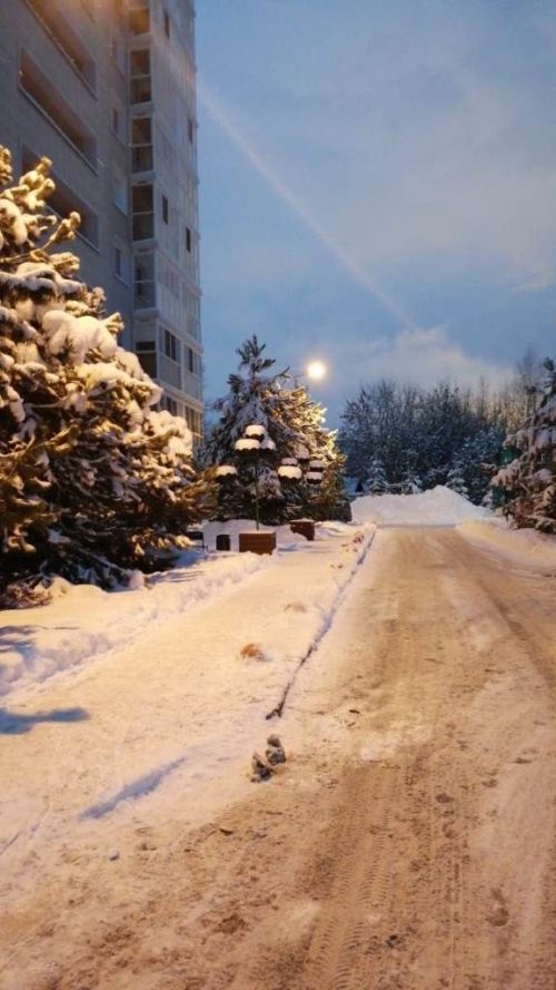 «Предновогодняя сказка» — так назвал серию фотографий Андрей Кодылев