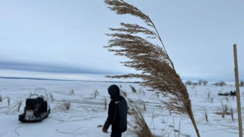 На реке Меша пробурили лунки, чтобы насытить воду кислородом
