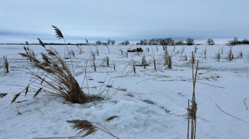 На реке Меша пробурили лунки, чтобы насытить воду кислородом