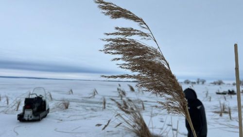 На реке Меша пробурили лунки, чтобы насытить воду кислородом