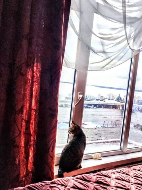«Фото-миг» - серия фотографий Владимира Андреева