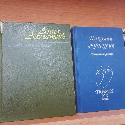 В Лаишевской центральной библиотеке отметили День поэзии