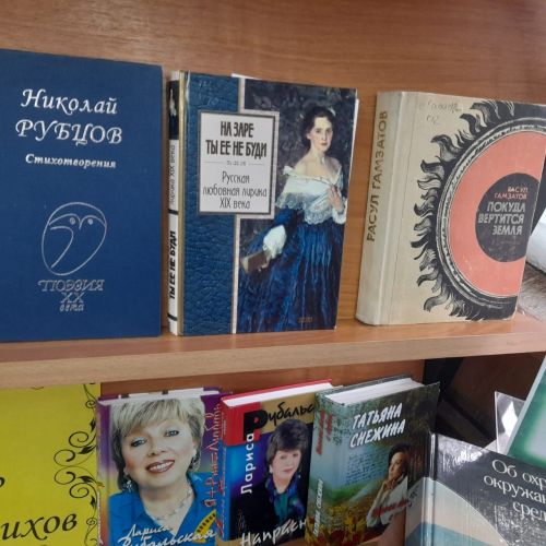 В Лаишевской центральной библиотеке отметили День поэзии
