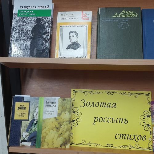 В Лаишевской центральной библиотеке отметили День поэзии