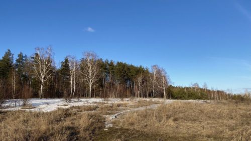 Семья Запольских поделилась снимками после похода на берег Камы
