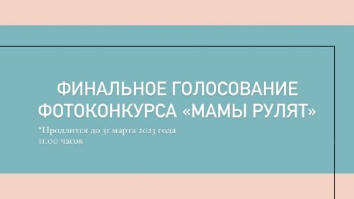 Стартовало финальное голосование ФОТОконкурса «Мамы рулят»