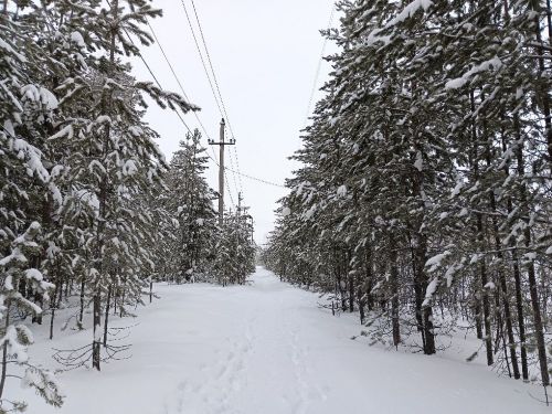 Городской парк, тишина, снег