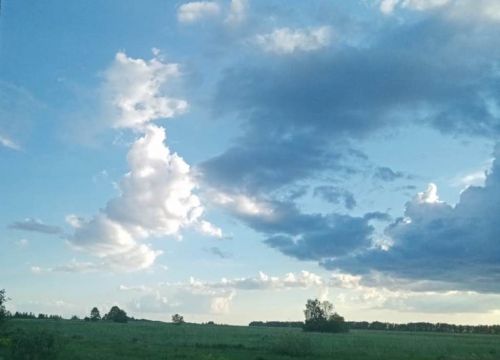 До ..+20˚ ожидается завтра в Лаишевском районе