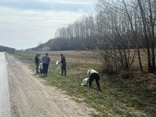 Придорожные полосы вдоль автомобильный дороги Сокуры – Кирби привели в порядок