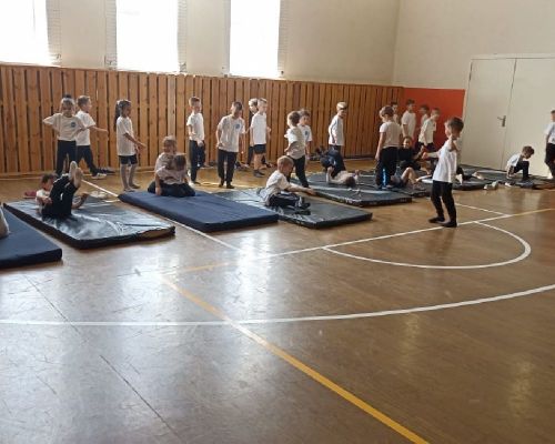 В Сокуровской средней школе реализуется проект Федерации дзюдо России для младших школьников «Мой первый пояс дзюдо»