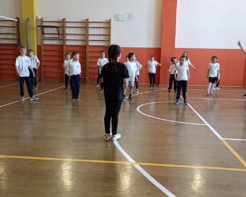 В Сокуровской средней школе реализуется проект Федерации дзюдо России для младших школьников «Мой первый пояс дзюдо»