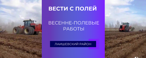 На полях Лаишевского района