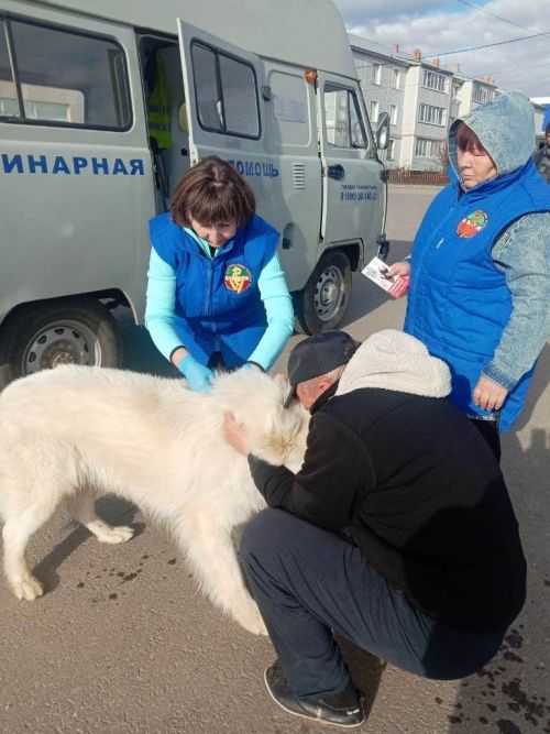 В Лаишевском районе идет вакцинация домашних питомцев
