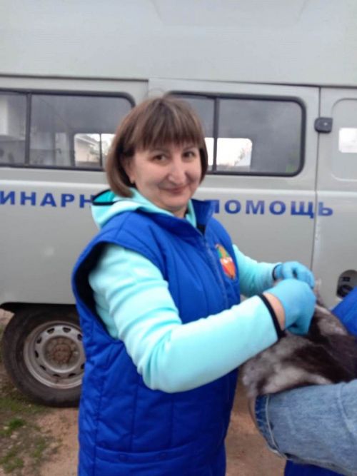 В Лаишевском районе идет вакцинация домашних питомцев