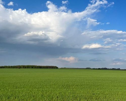 Глава Лаишевского района Ильдус Зарипов ознакомился с ходом весенне-полевых работ