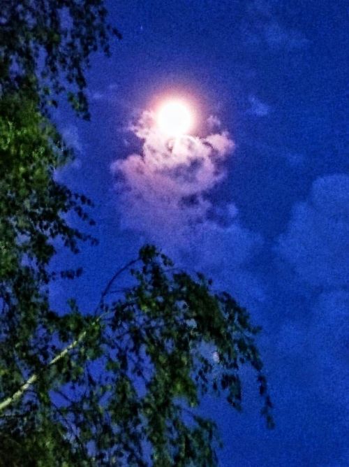 Творчество читателей. Владимир Андреев о лунной ночи