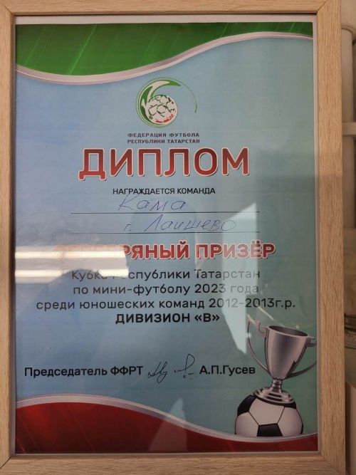 Лаишевские спортсмены результативно выступили в Кубке РТ по мини-футболу