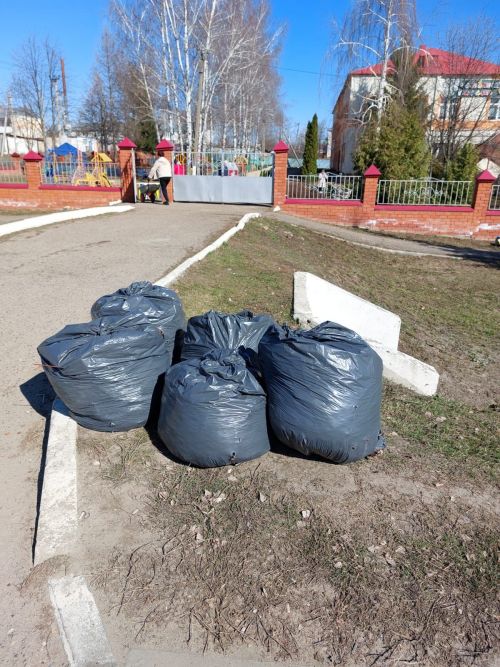Участники субботника в Лаишеве делятся снимками с Камской новью