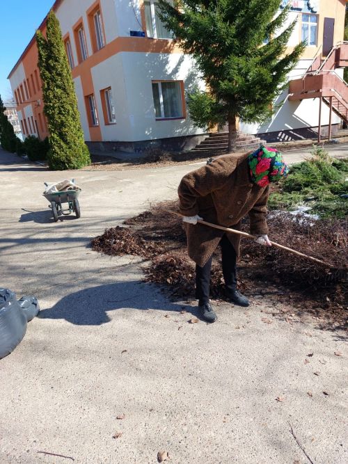 Участники субботника в Лаишеве делятся снимками с Камской новью