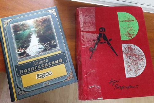 В Лаишевской библиотеке организована книжная выставка «Стихи, которые поют…»
