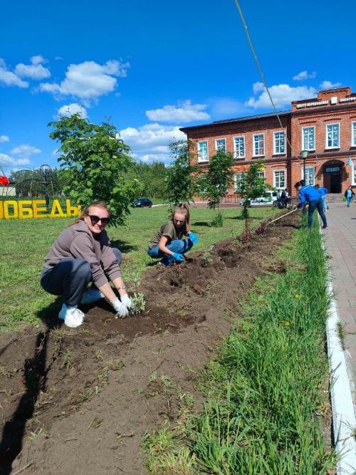 Сотрудники Управления образования Лаишевского района высадили 70 саженцев