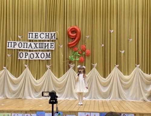 Районный патриотический фестиваль прошел в сельском доме культуры в Сокурах