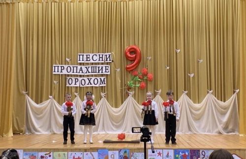 Районный патриотический фестиваль прошел в сельском доме культуры в Сокурах
