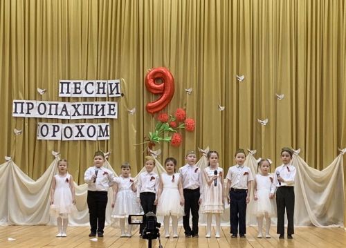 Районный патриотический фестиваль прошел в сельском доме культуры в Сокурах