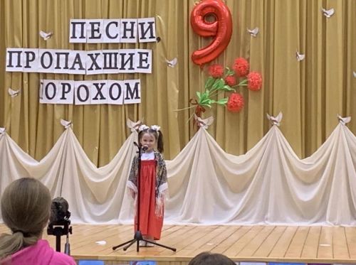 Районный патриотический фестиваль прошел в сельском доме культуры в Сокурах